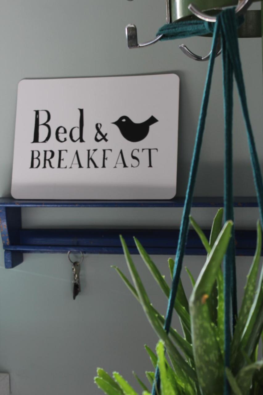 Wanroij Het Aambeeld B&B 외부 사진