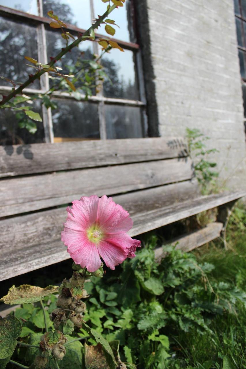 Wanroij Het Aambeeld B&B 외부 사진